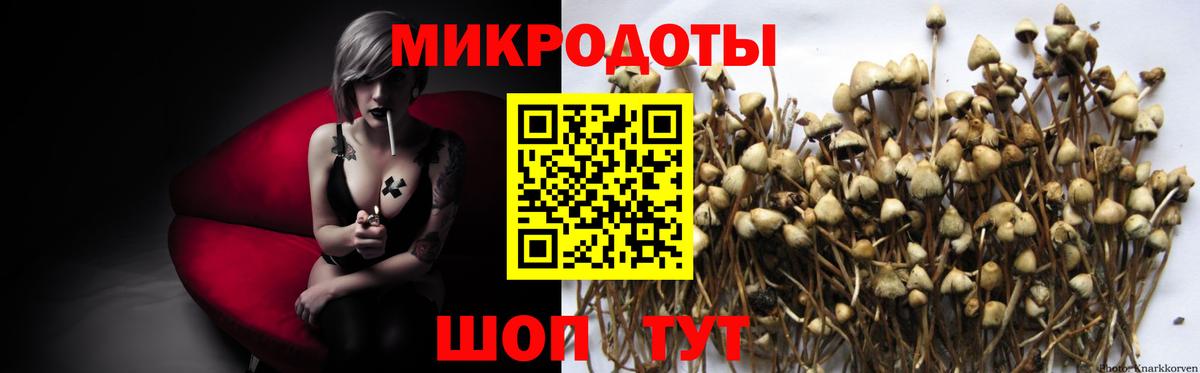 Осинники  Галлюциногенные грибы Magic Shrooms  Псилоцибиновые грибы Cubensis  Вход с VPN 